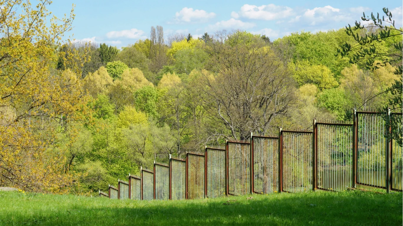 Fence Ideas for Garden